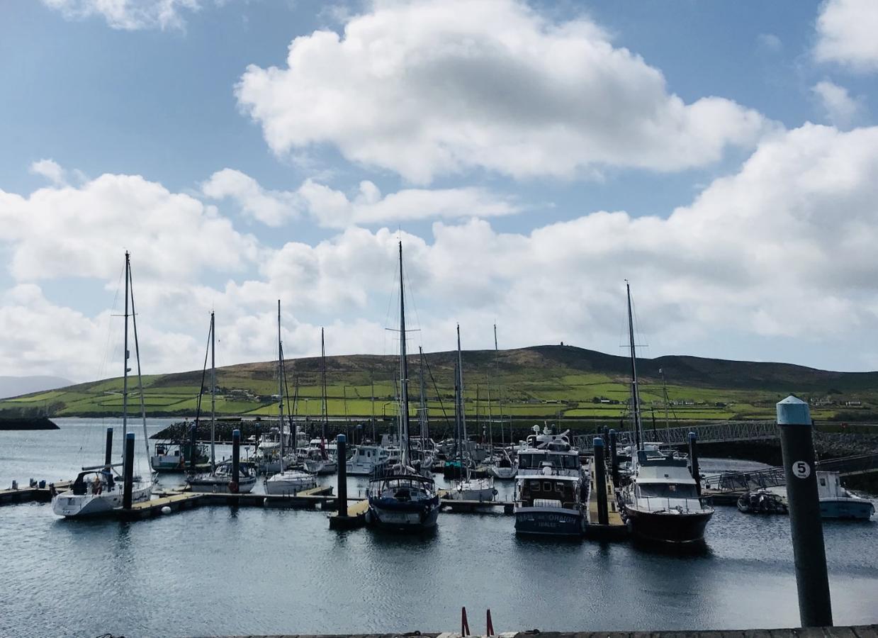 Maison d'hôtes The Waterfront (adults Only) Dingle
